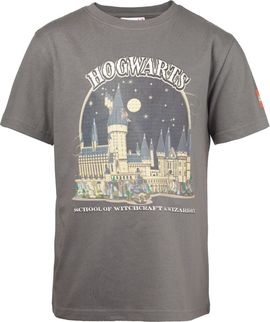 Harry Potter T-Shirt Gray