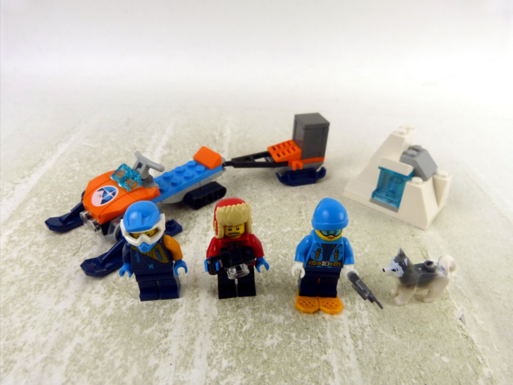 Arctic Exploration Team