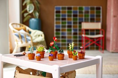 LEGO Icons - Mini Pflanzen - Set 10329