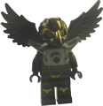 Rawzom