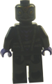 Rawzom