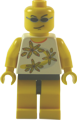Fahrer