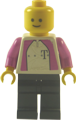 Fahrer