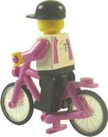 Fahrer