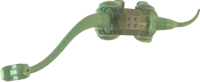 Brachiosaurus