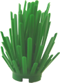 Pflanze