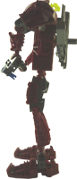 Toa Metru Vakama