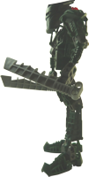 Toa Metru Matau