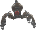 Droide
