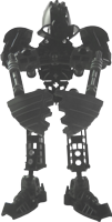 Detail: Toa Metru Whenua