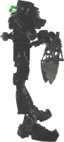 Toa Metru Whenua