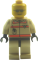 Pilot