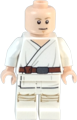 Luke Skywalker