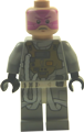 Pilot